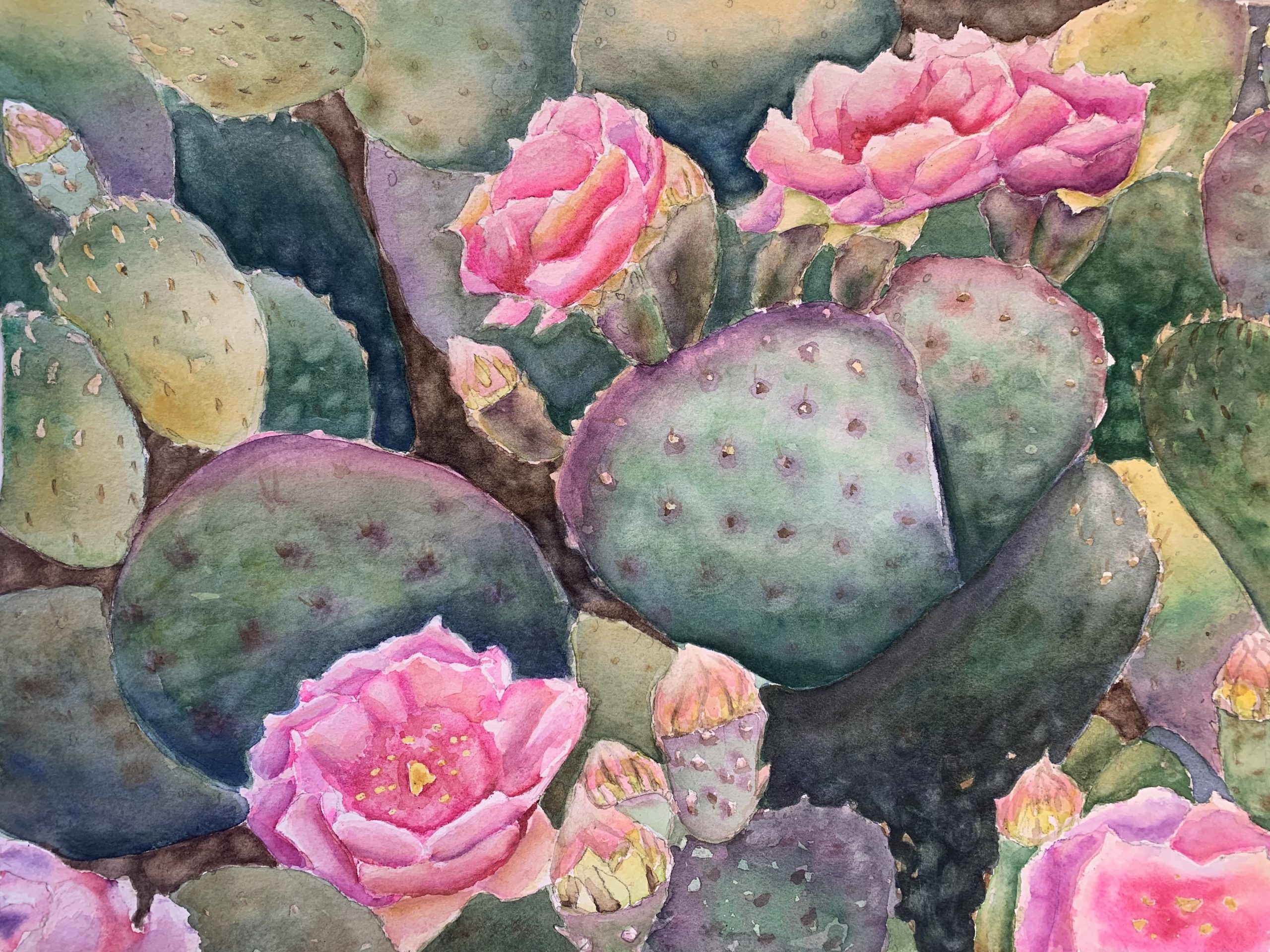 Desert Bloom