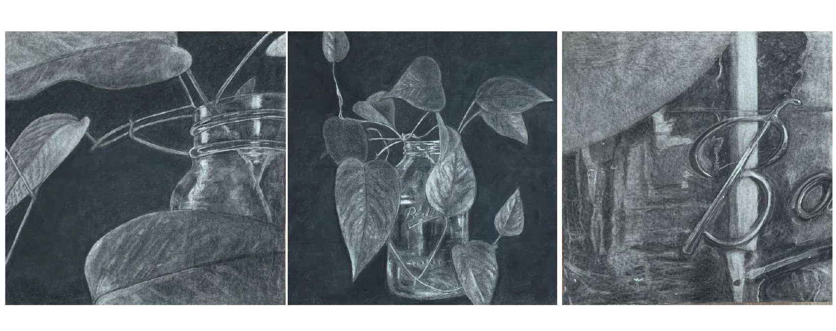 Pity the Pothos